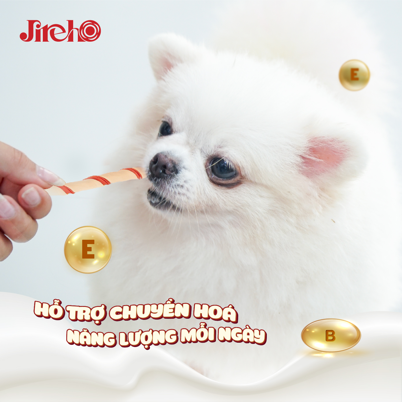 Que xoắn Thịt gà & Sữa