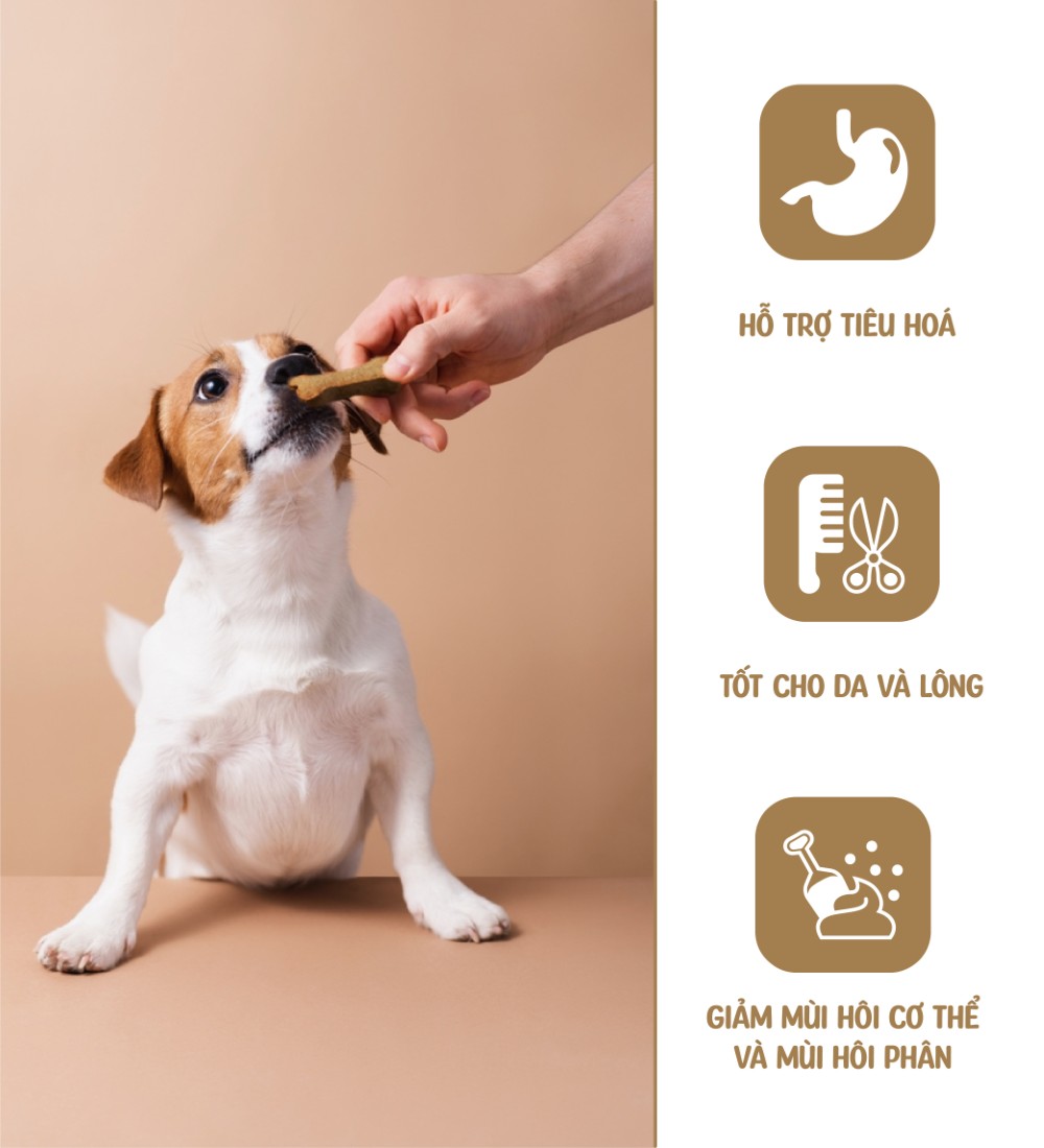 Bánh cookie yến mạch