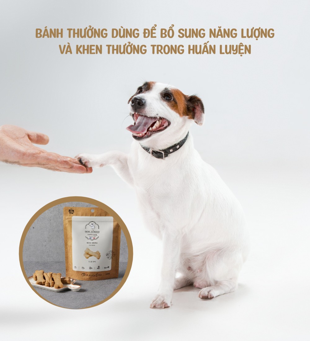 Bánh cookie yến mạch