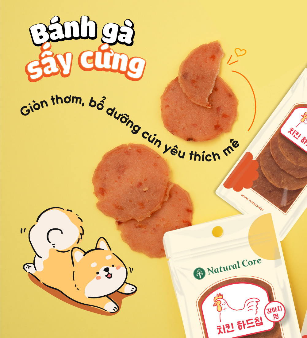 Bánh sấy cứng