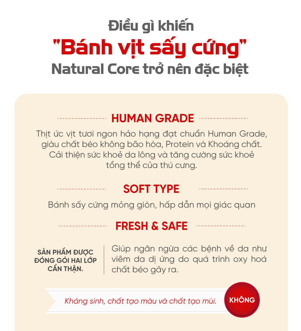 Bánh sấy cứng