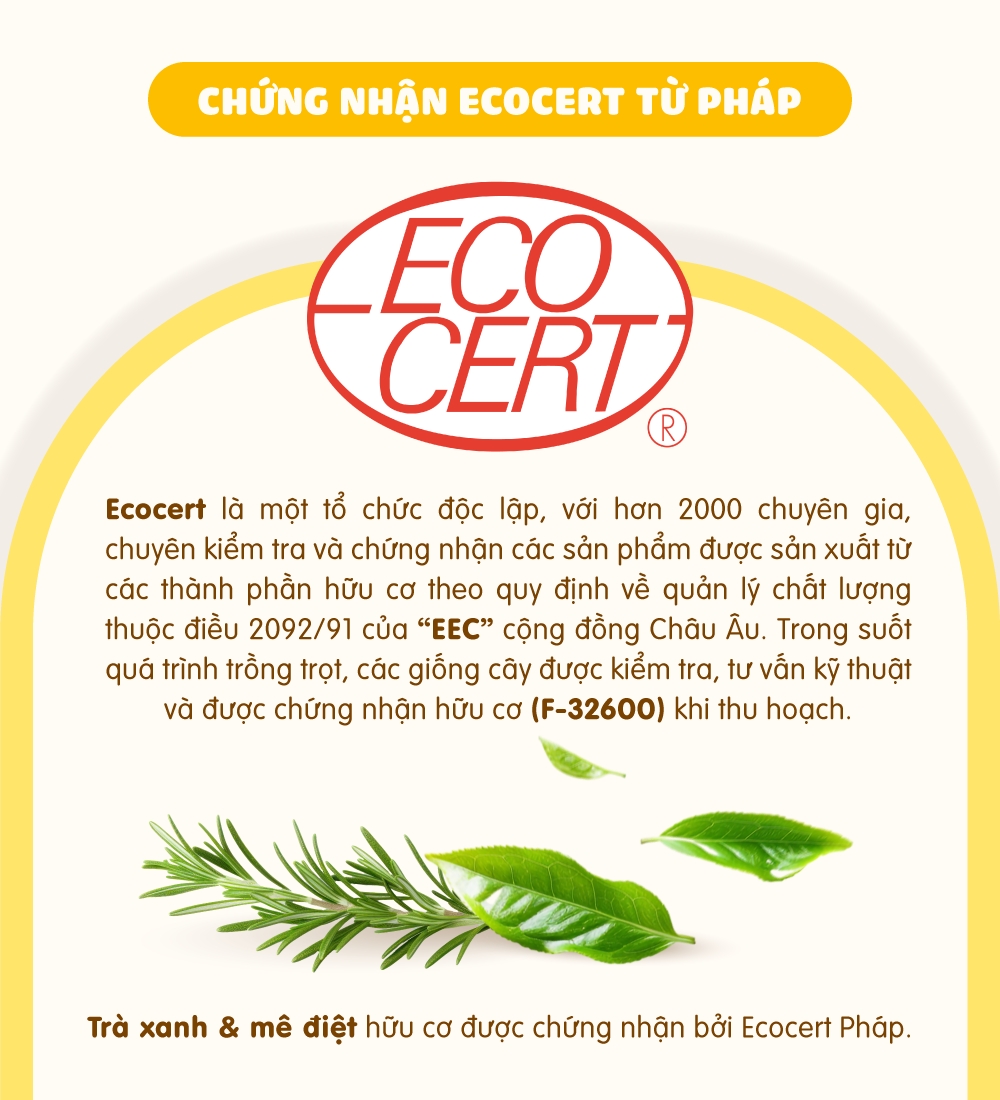 Bàn chải đánh răng cho chó Budle'Budle
