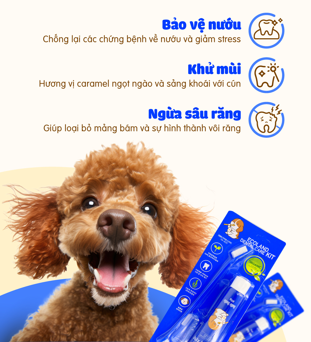 Bộ chăm sóc răng cho chó Budle'Budle
