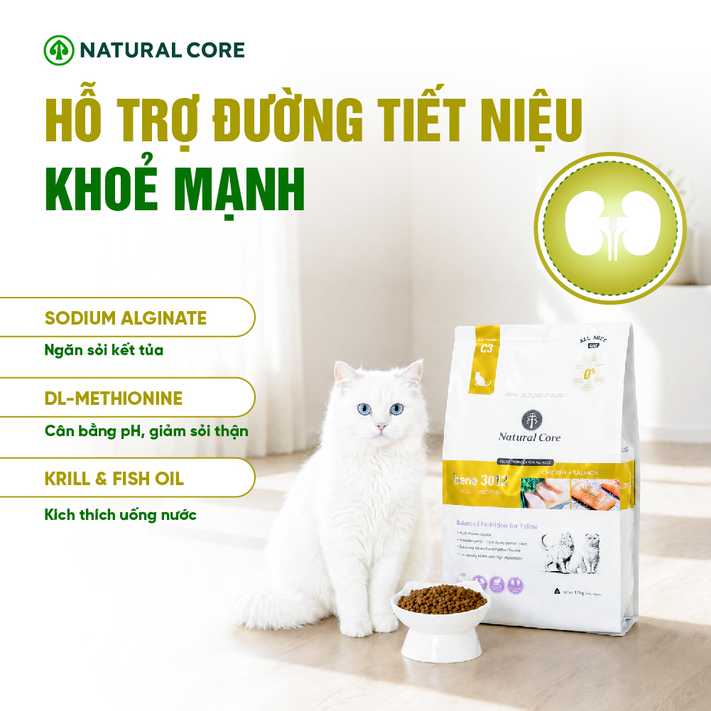 Thức ăn cho mèo Thịt gà & Cá hồi Bene 3012