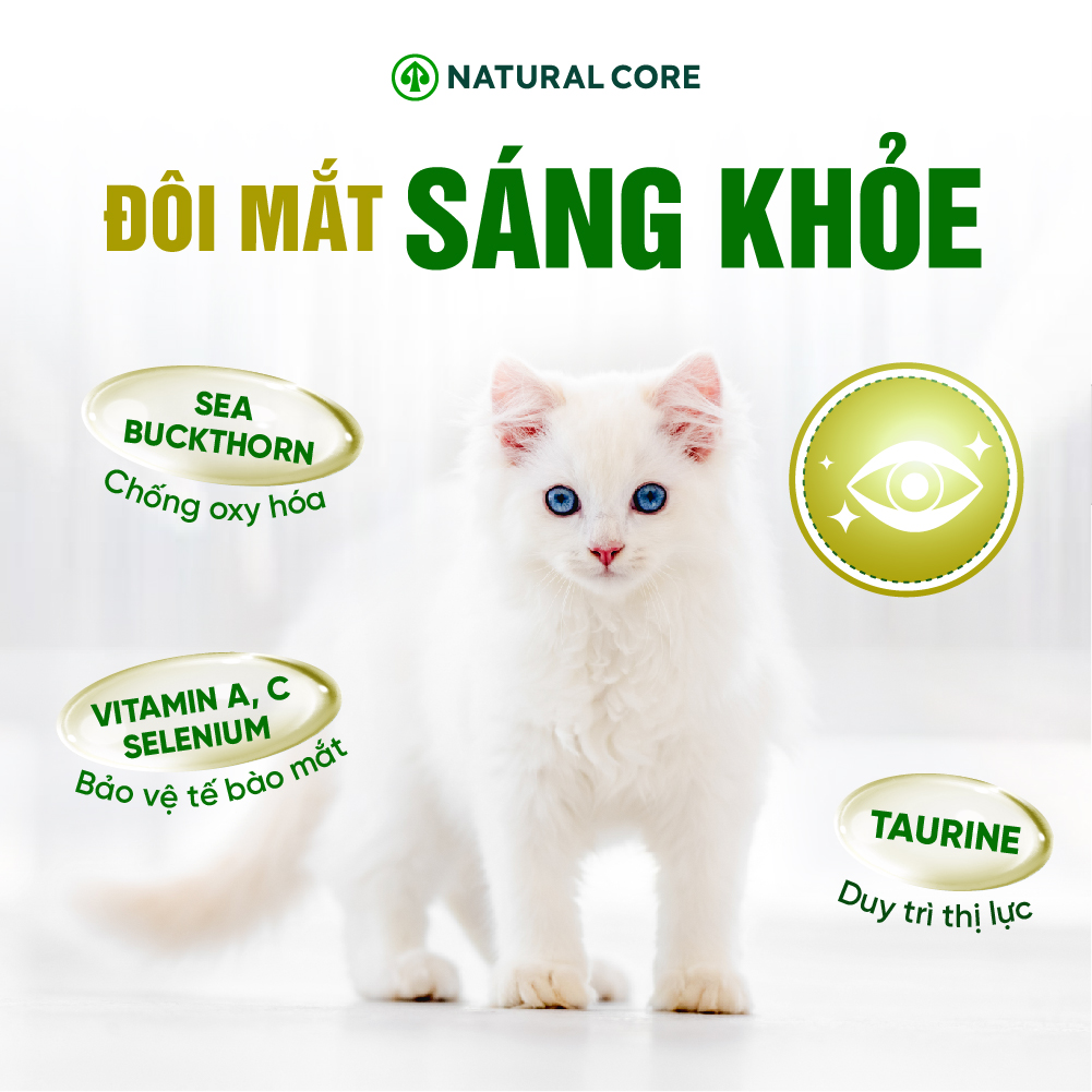 Thức ăn cho mèo Thịt gà & Cá hồi Bene 3012