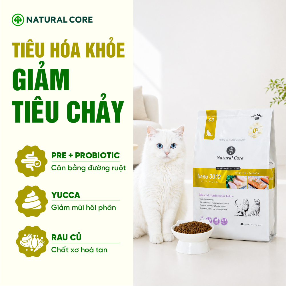 Thức ăn cho mèo Thịt gà & Cá hồi Bene 3012