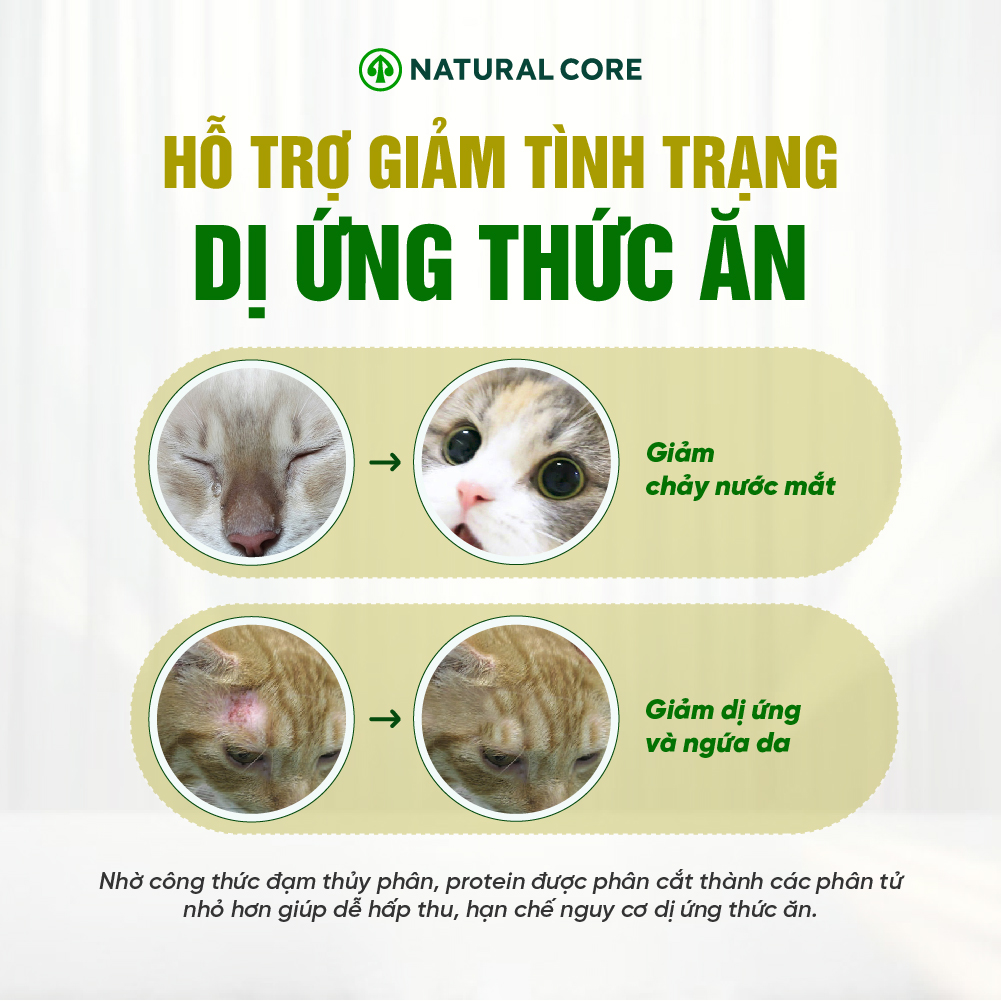 Thức ăn cho mèo Thịt gà & Cá hồi Bene 3012
