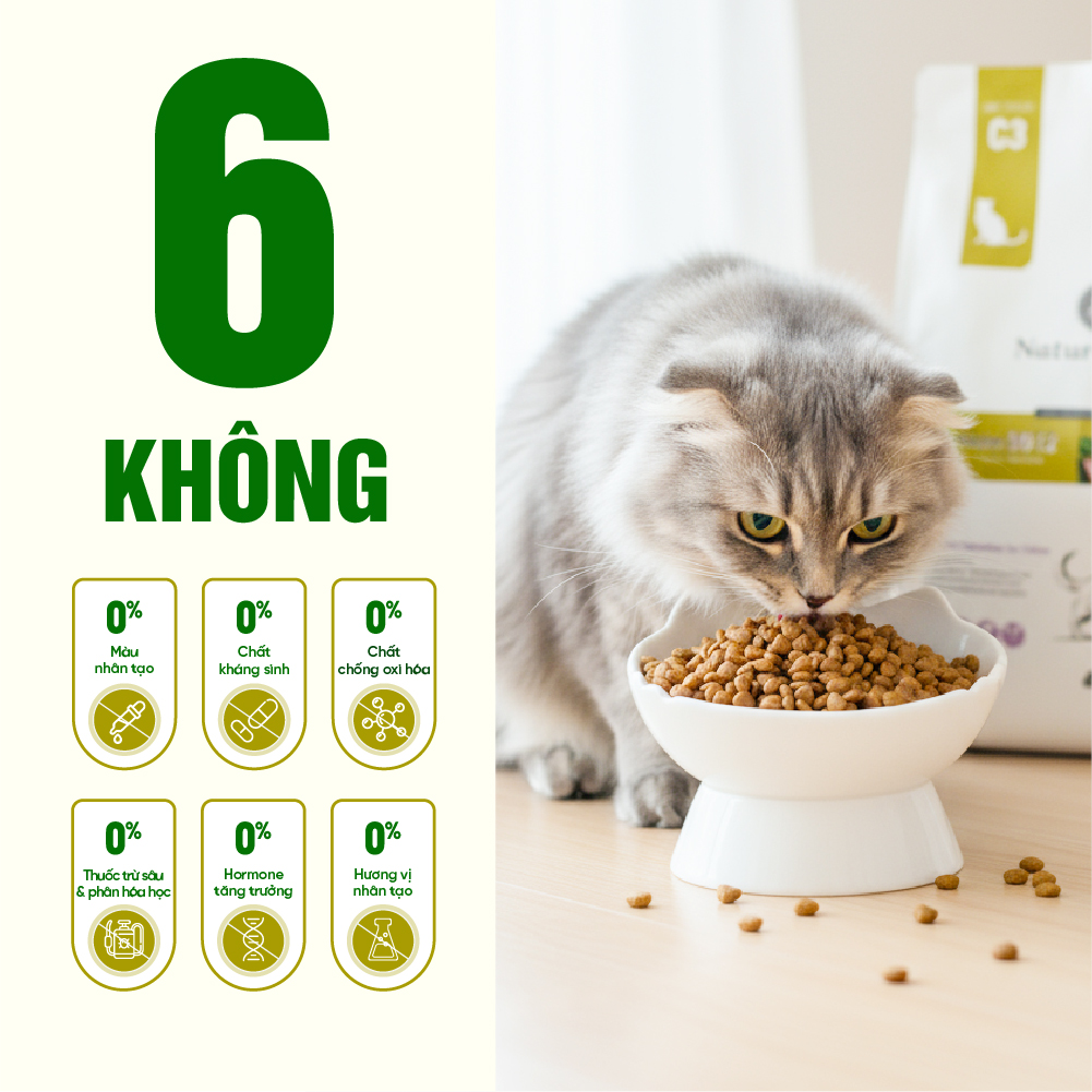 Thức ăn cho mèo Thịt gà & Cá hồi Bene 3012