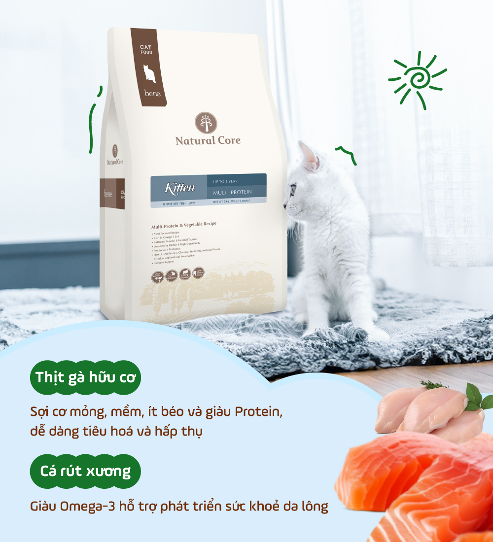 Thức ăn cho mèo con