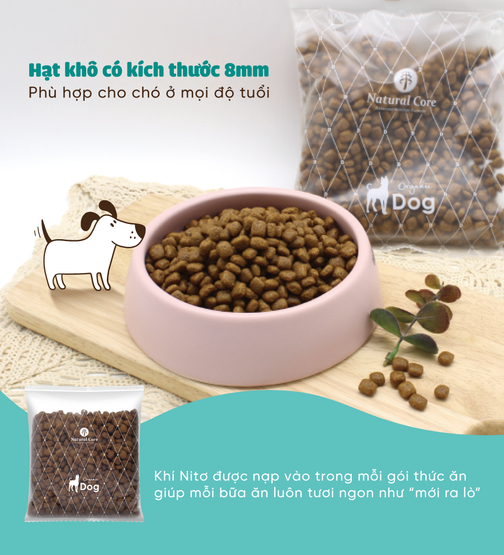 Thức ăn cho chó Thịt gà & Cá hồi