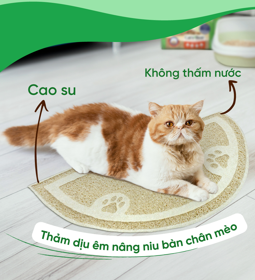 Thảm vệ sinh Cat's Best Cat Litter anti-tracking mat