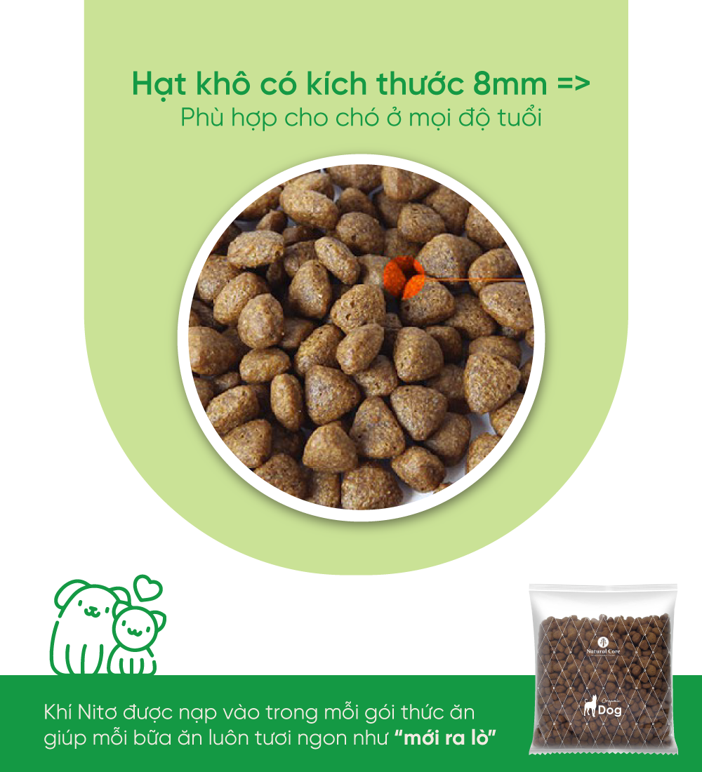 Thức ăn chay cho thú cưng