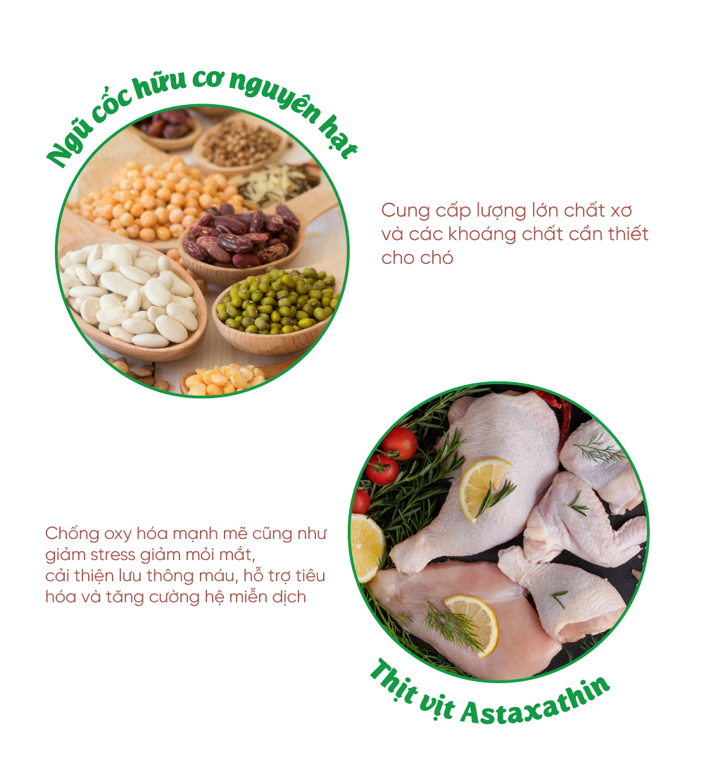 Thức ăn cho chó (Thịt vịt)