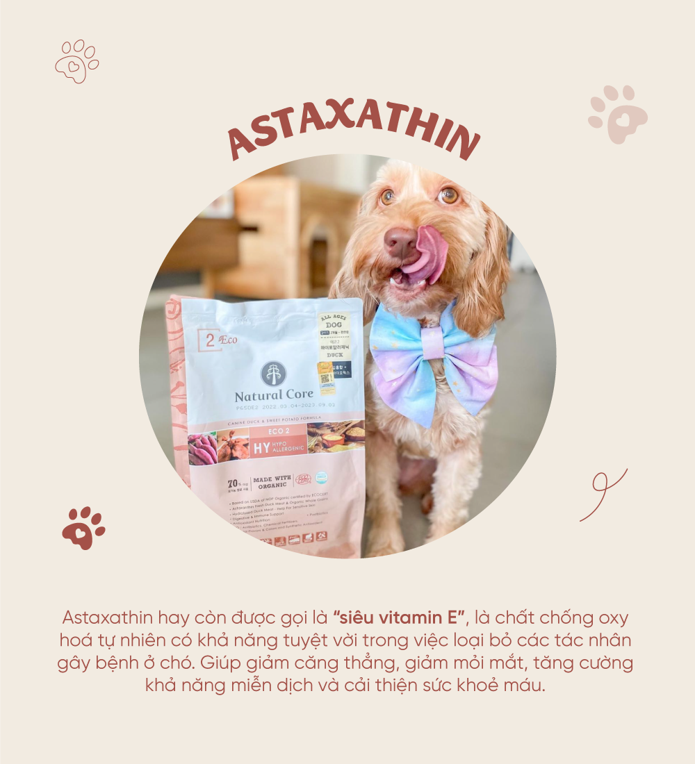 Thức ăn cho chó (Thịt vịt)