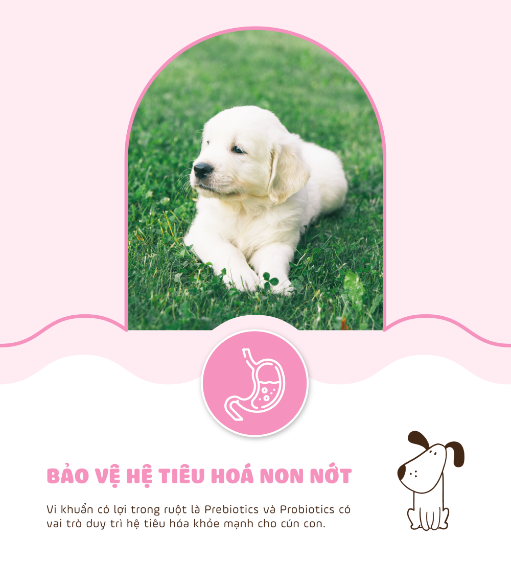 Thức ăn cho chó con (Thịt cừu)