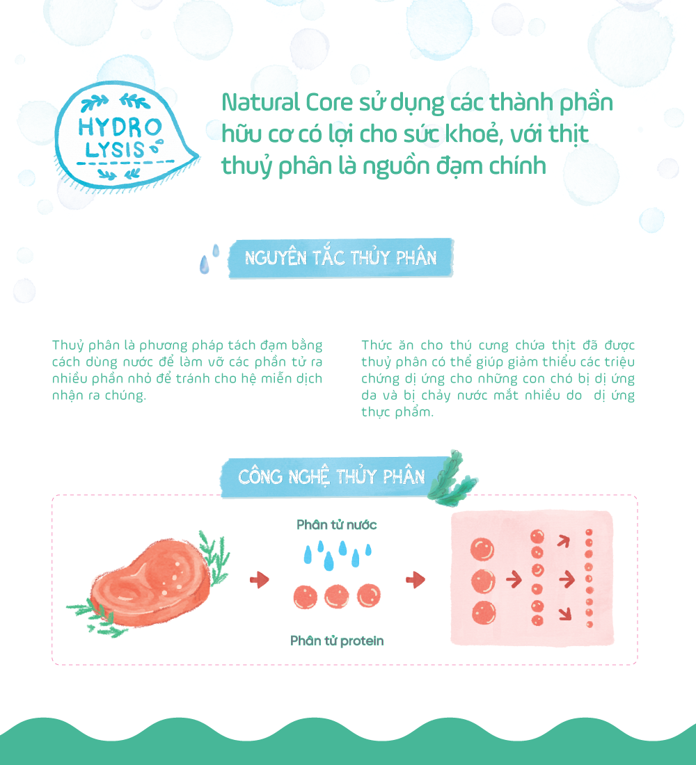 Thức ăn cho chó S1 (Đa đạm)
