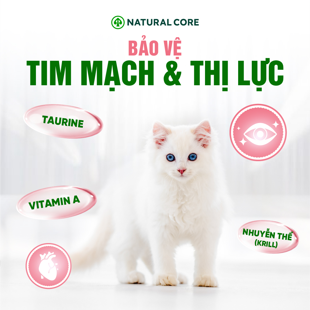 Thức ăn đa đạm cho mèo ECO C1