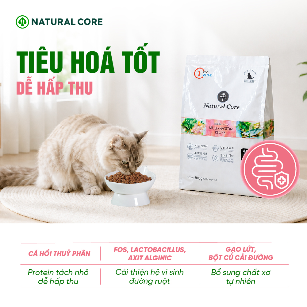 Thức ăn đa đạm cho mèo ECO C1