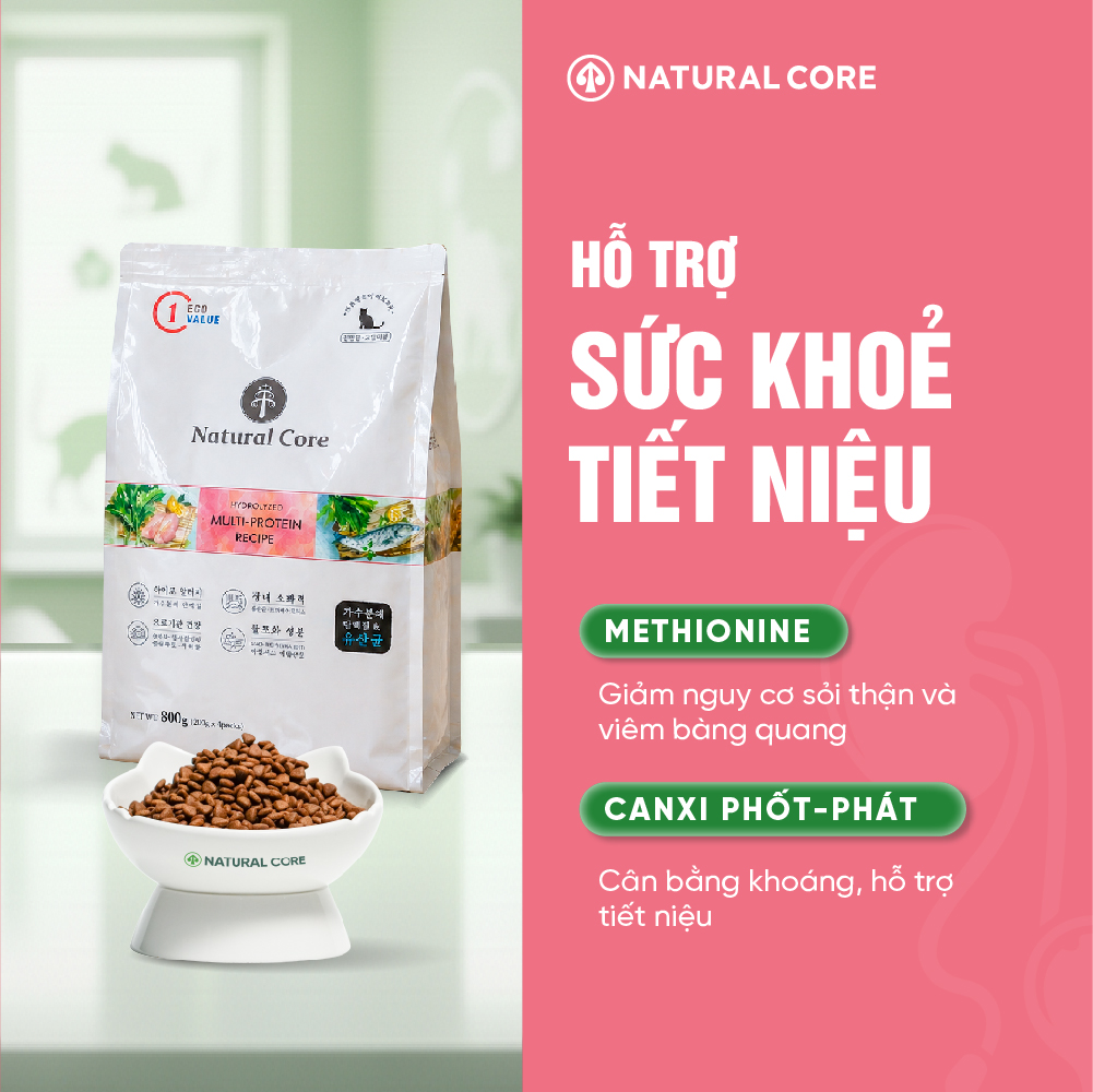 Thức ăn đa đạm cho mèo ECO C1