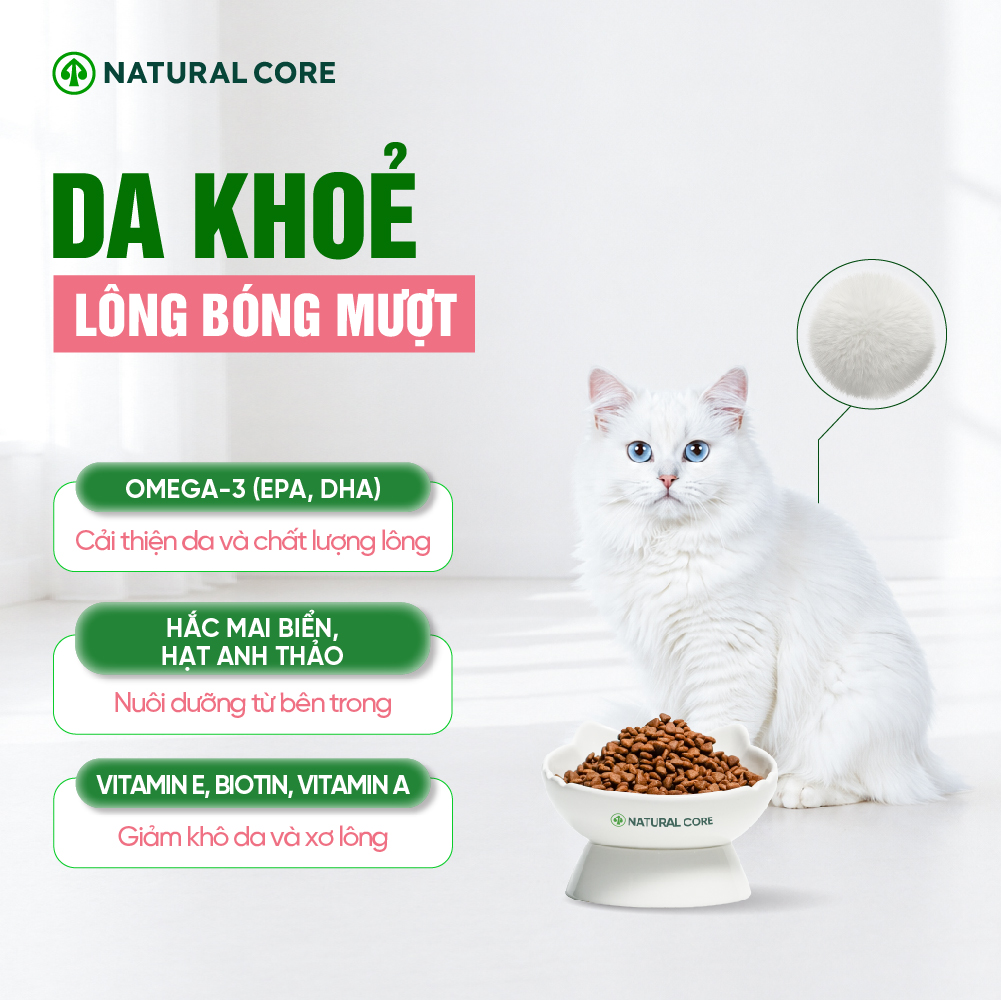 Thức ăn đa đạm cho mèo ECO C1