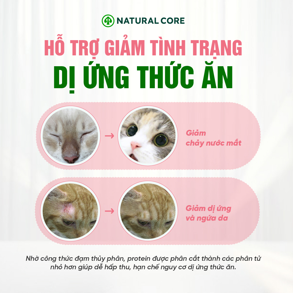 Thức ăn đa đạm cho mèo ECO C1