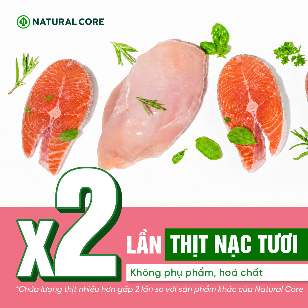 Thức ăn đa đạm cho mèo ECO C1