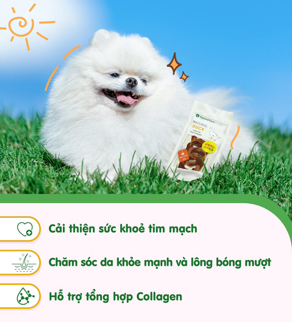 Gân vịt