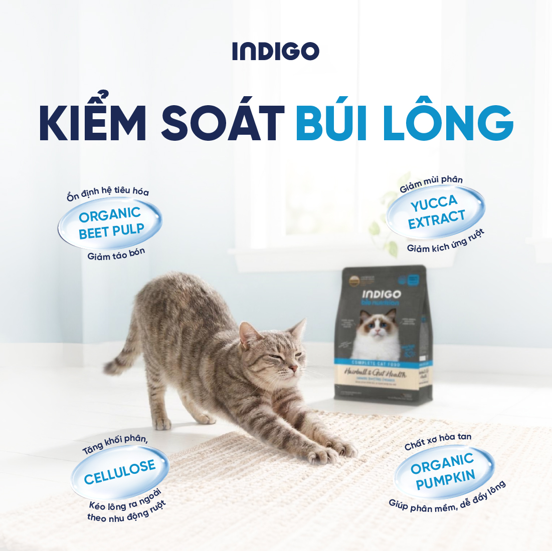 Thức ăn dinh dưỡng chức năng cho mèo kiểm soát búi lông và tăng cường sức khỏe tiêu hóa