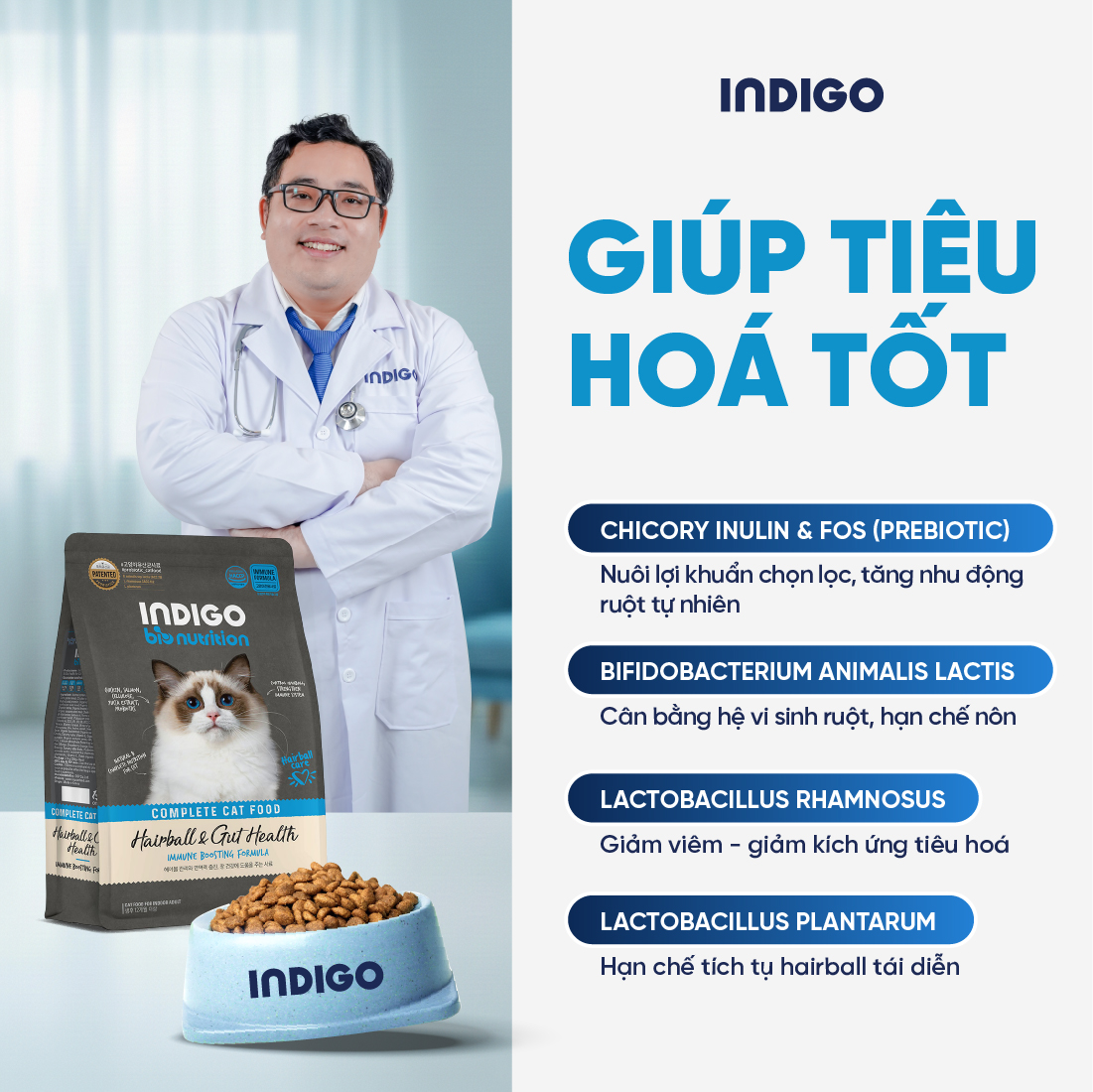 Thức ăn dinh dưỡng chức năng cho mèo kiểm soát búi lông và tăng cường sức khỏe tiêu hóa