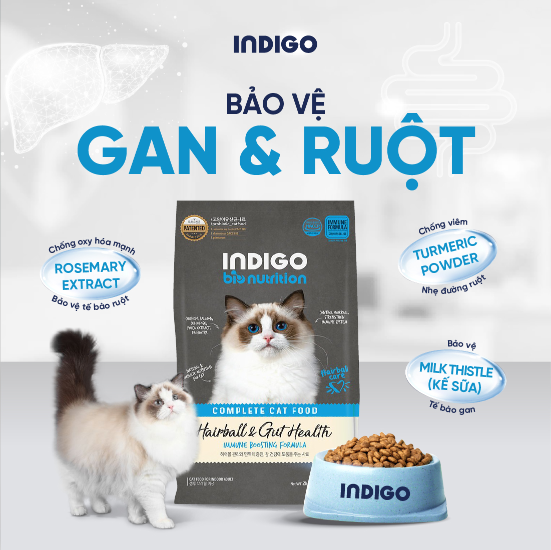 Thức ăn dinh dưỡng chức năng cho mèo kiểm soát búi lông và tăng cường sức khỏe tiêu hóa