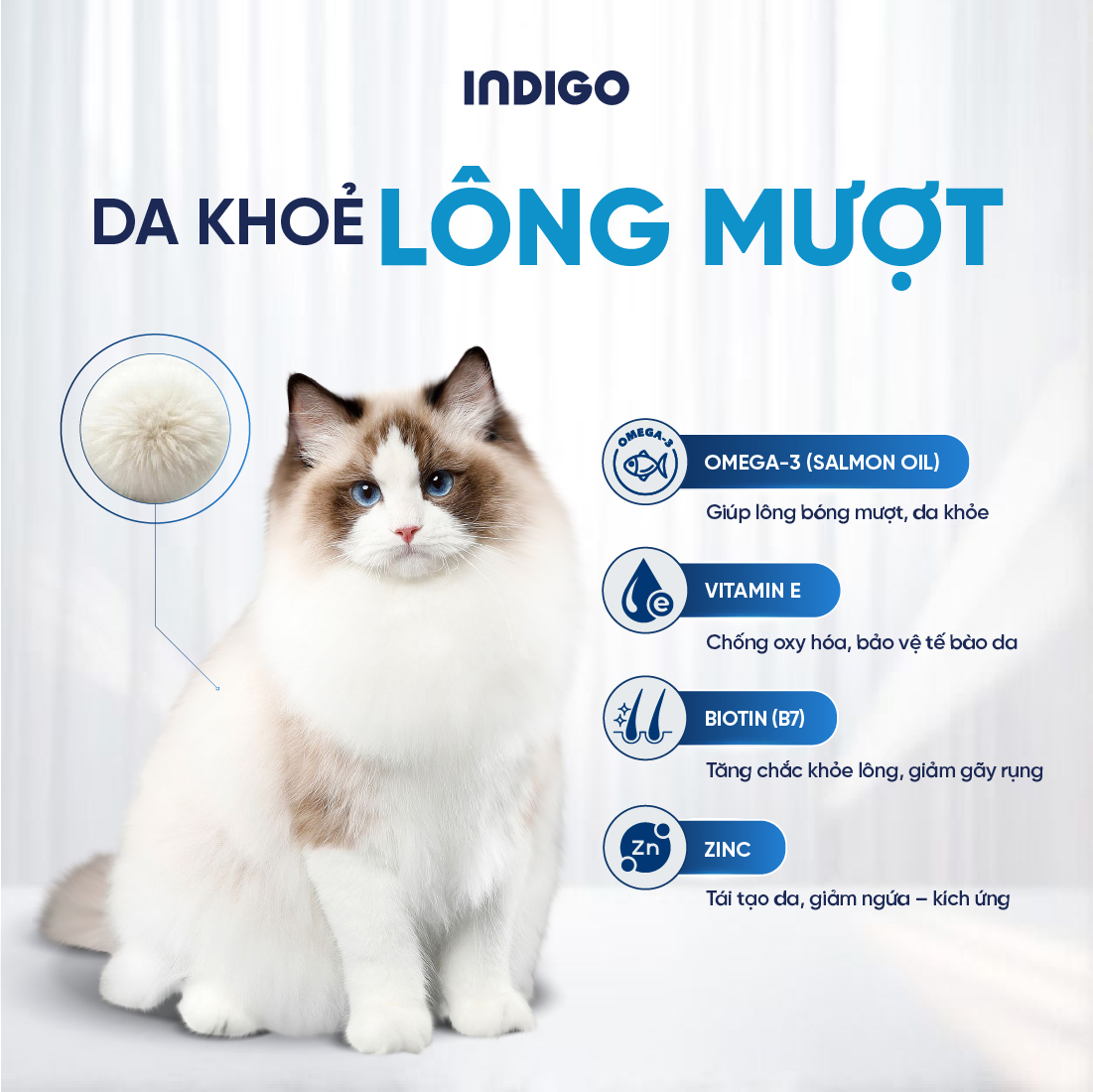 Thức ăn dinh dưỡng chức năng cho mèo kiểm soát búi lông và tăng cường sức khỏe tiêu hóa