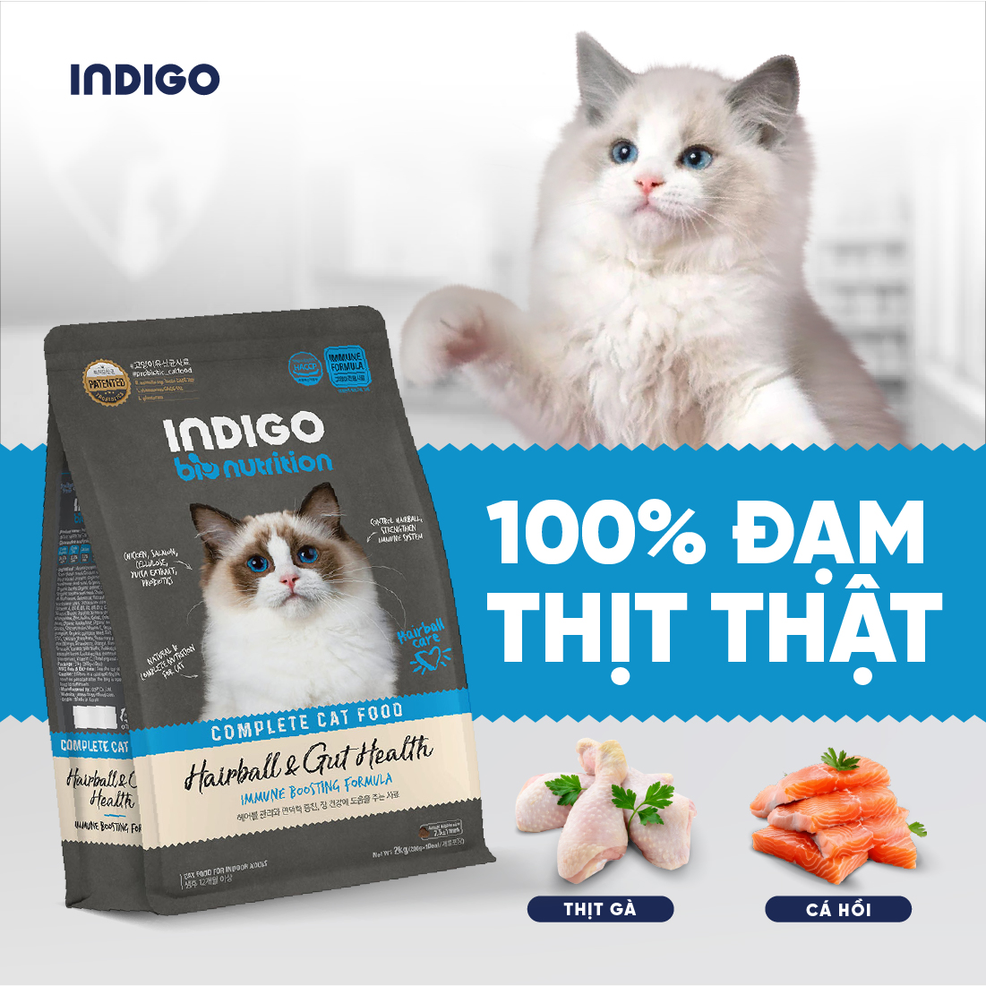 Thức ăn dinh dưỡng chức năng cho mèo kiểm soát búi lông và tăng cường sức khỏe tiêu hóa