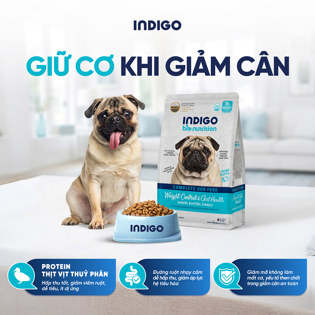 Thức ăn dinh dưỡng chức năng cho chó kiểm soát cân nặng và tăng cường sức khỏe tiêu hóa