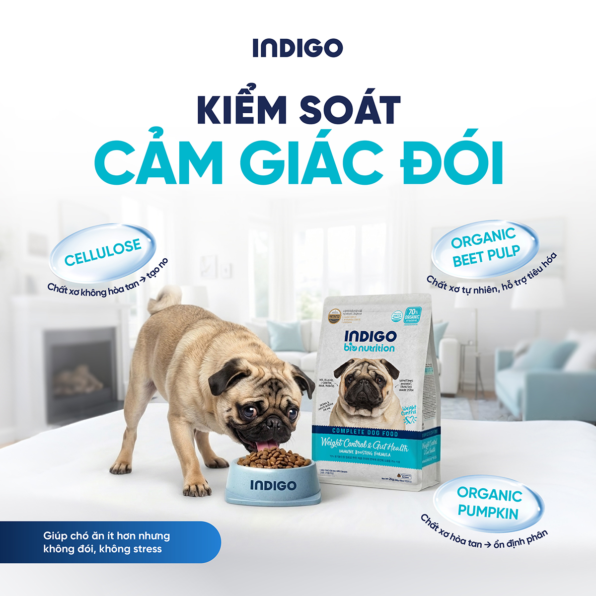 Thức ăn dinh dưỡng chức năng cho chó kiểm soát cân nặng và tăng cường sức khỏe tiêu hóa