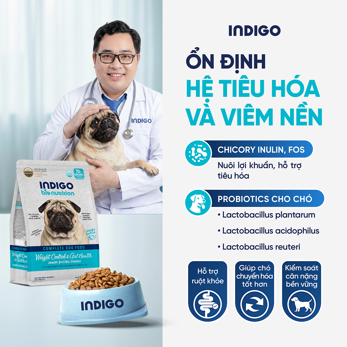 Thức ăn dinh dưỡng chức năng cho chó kiểm soát cân nặng và tăng cường sức khỏe tiêu hóa