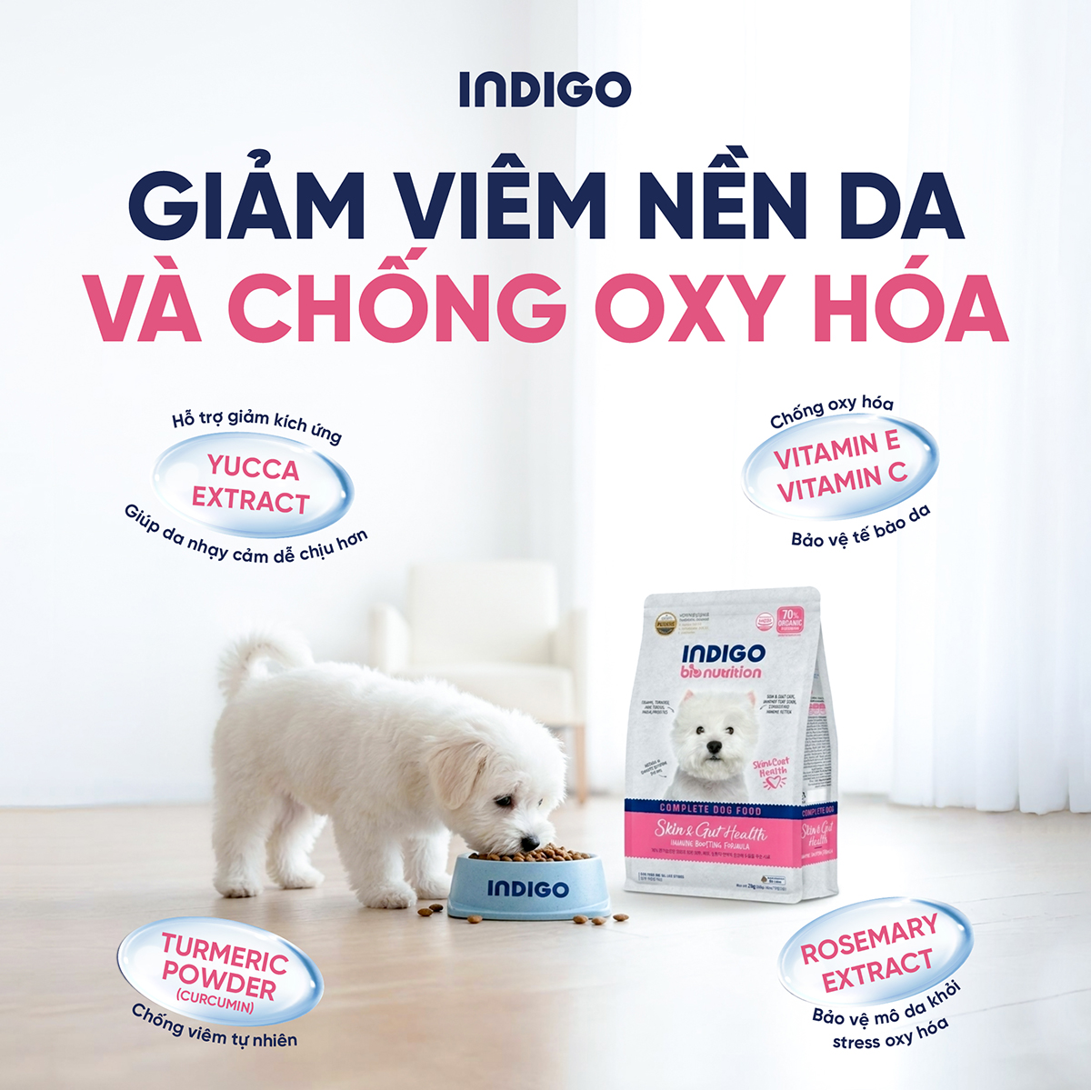 Thức ăn dinh dưỡng chức năng cho chó tăng cường sức khỏe da và tiêu hóa