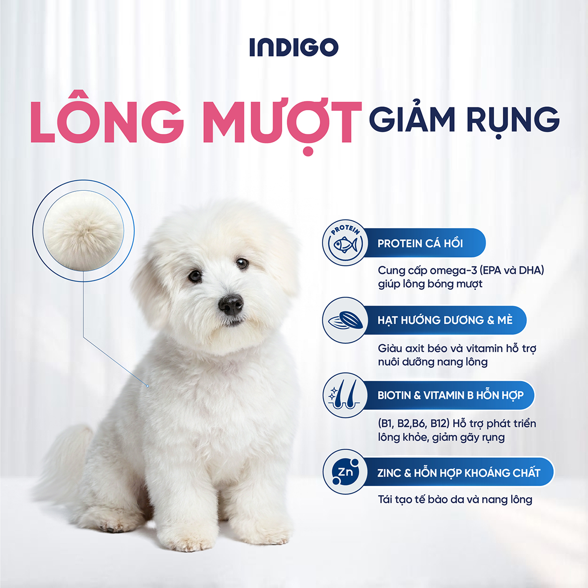 Thức ăn dinh dưỡng chức năng cho chó tăng cường sức khỏe da và tiêu hóa