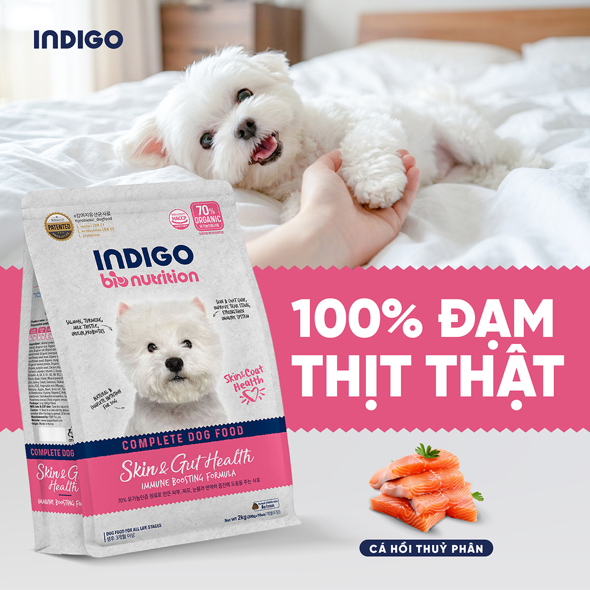 Thức ăn dinh dưỡng chức năng cho chó tăng cường sức khỏe da và tiêu hóa