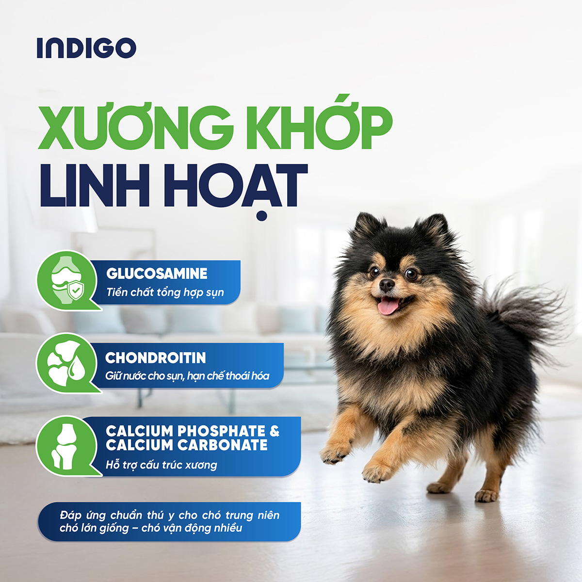 Thức ăn dinh dưỡng chức năng cho chó tăng cường sức khỏe khớp và tiêu hóa