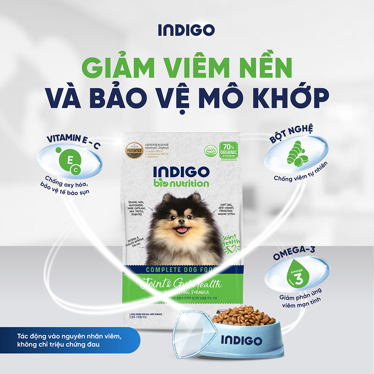 Thức ăn dinh dưỡng chức năng cho chó tăng cường sức khỏe khớp và tiêu hóa