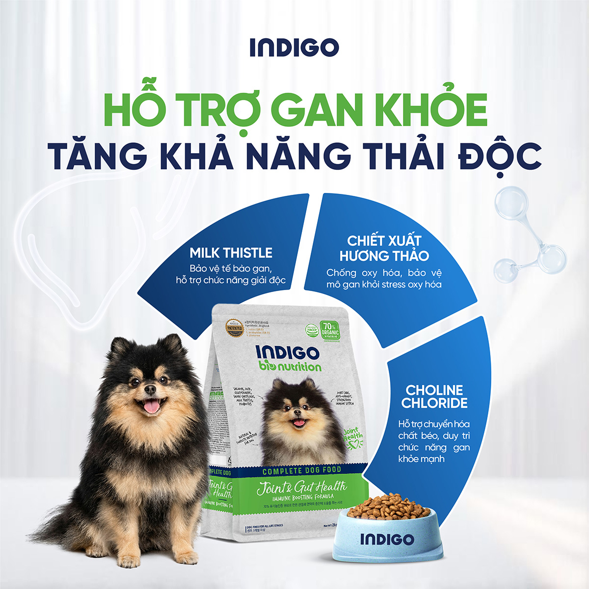 Thức ăn dinh dưỡng chức năng cho chó tăng cường sức khỏe khớp và tiêu hóa