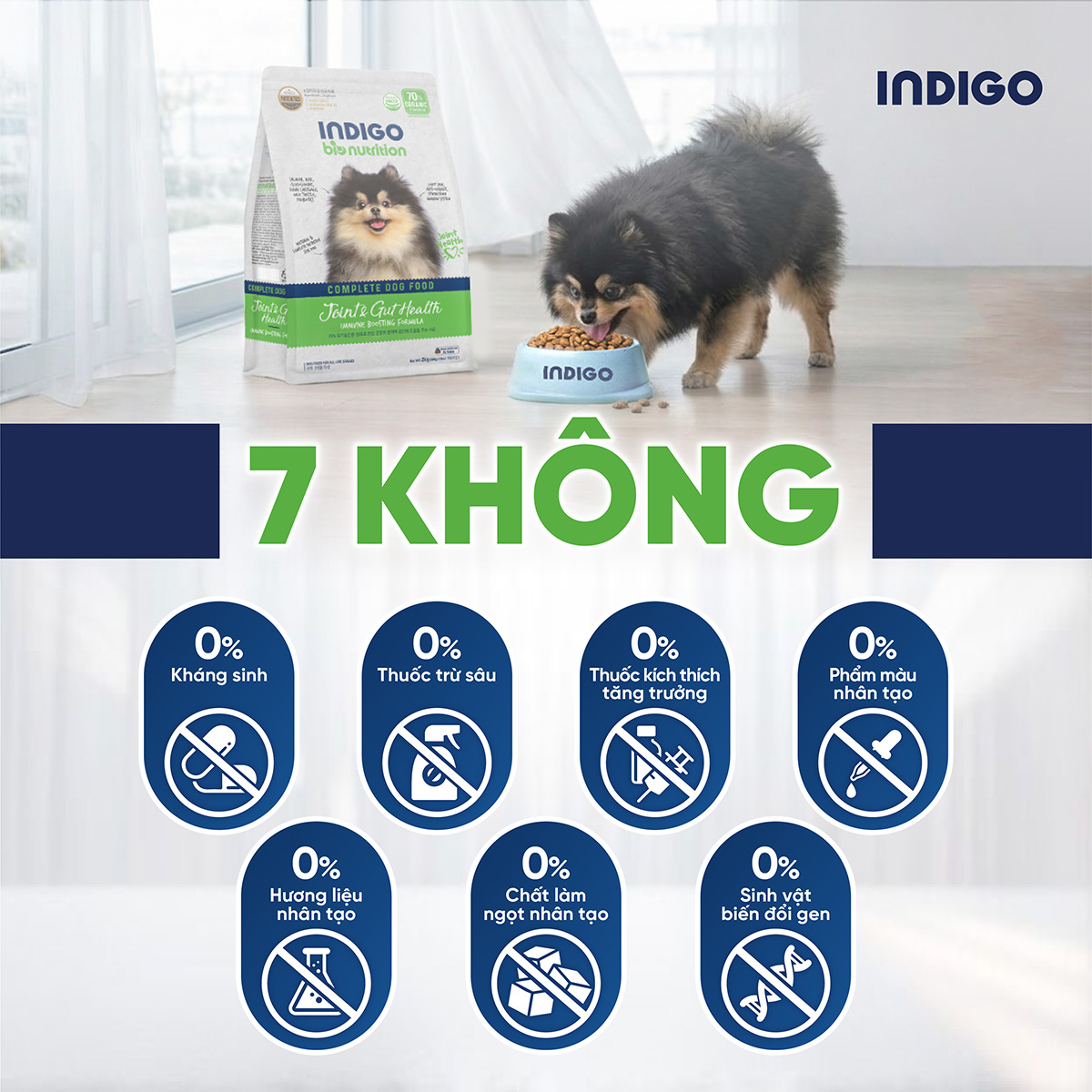 Thức ăn dinh dưỡng chức năng cho chó tăng cường sức khỏe khớp và tiêu hóa