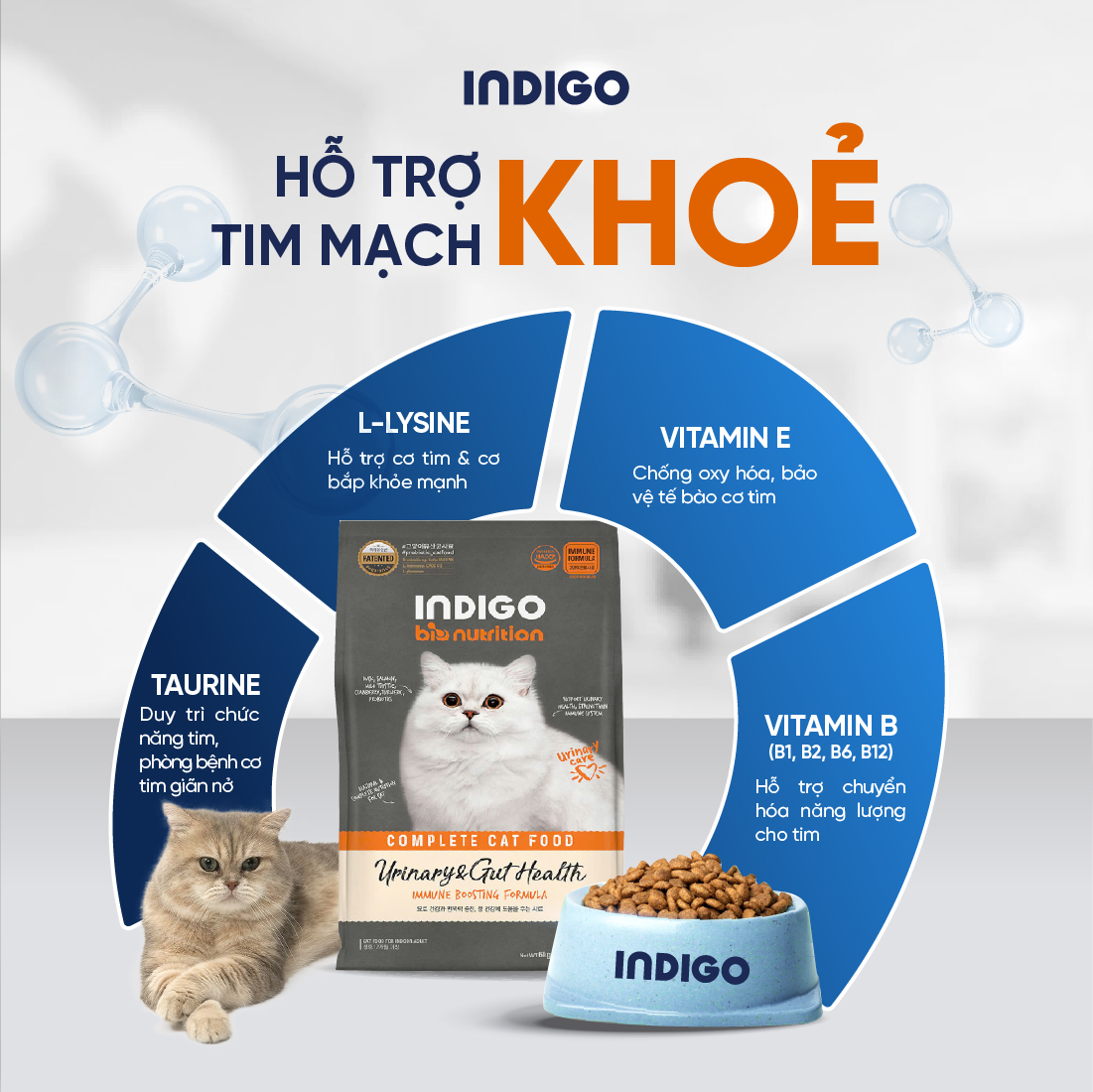 Thức ăn dinh dưỡng chức năng cho mèo tăng cường sức khỏe tiết niệu và tiêu hóa