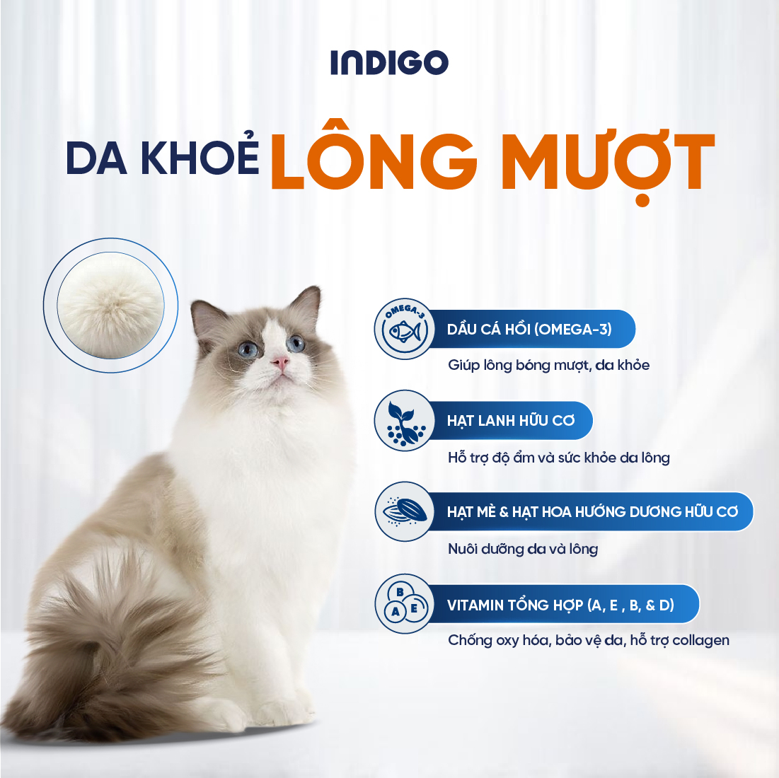 Thức ăn dinh dưỡng chức năng cho mèo tăng cường sức khỏe tiết niệu và tiêu hóa