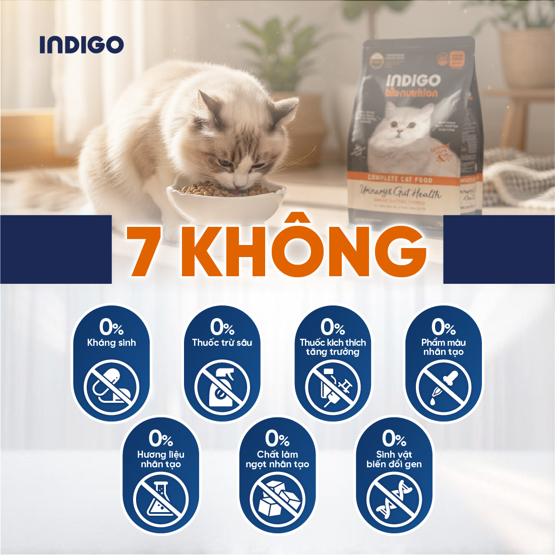 Thức ăn dinh dưỡng chức năng cho mèo tăng cường sức khỏe tiết niệu và tiêu hóa