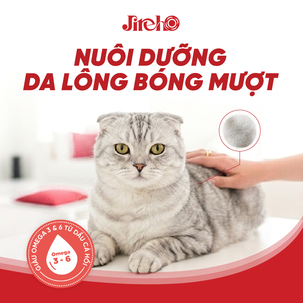 Thức ăn JirehO Thịt gà cho mèo