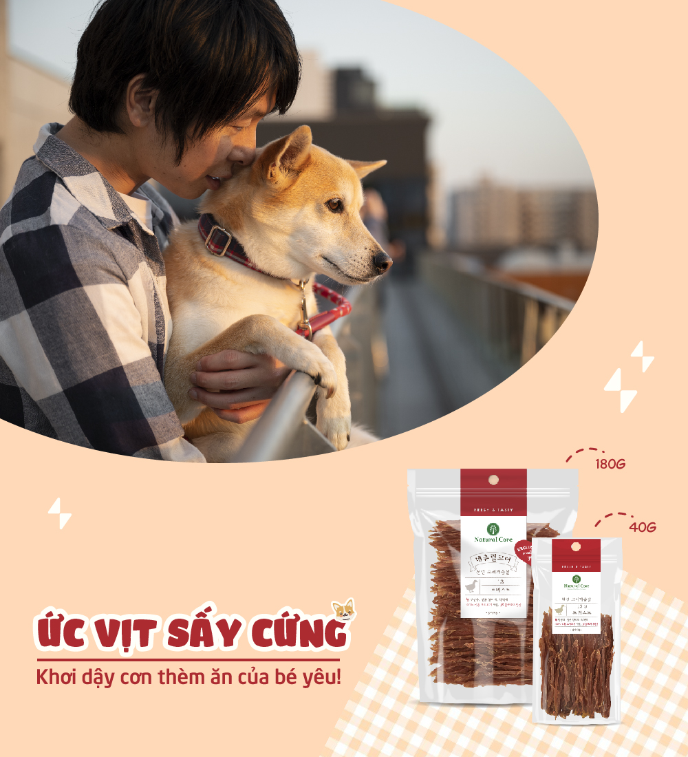 Thịt ức sấy cứng