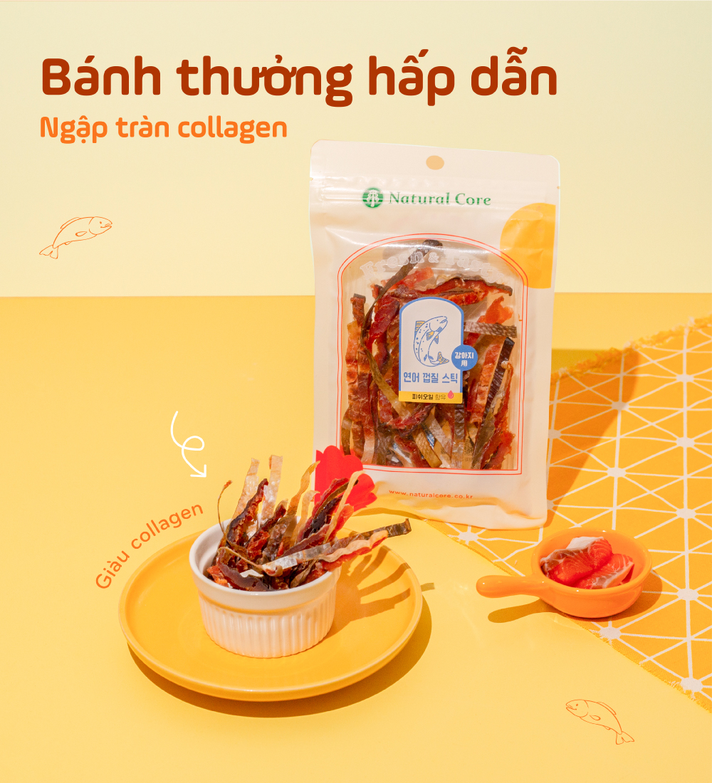 Cá hồi sấy cho chó