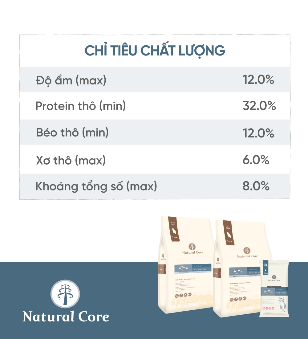 Thức ăn cho mèo con