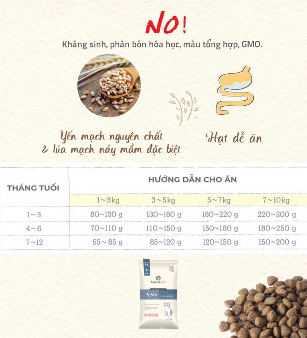 Thức ăn cho mèo con